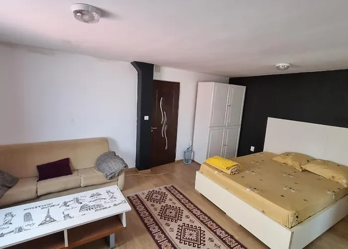 Apartman Iris Spacious *